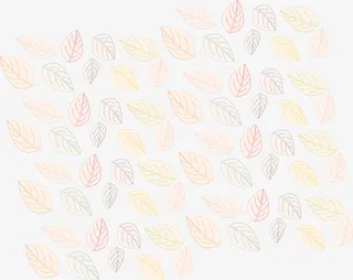 山核桃叶子底纹免抠