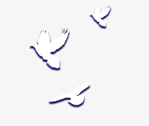 鸽子免抠