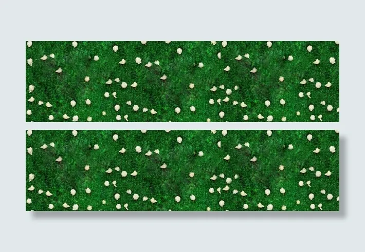 春天唯美banner