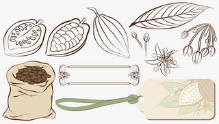 食品袋子矢量免抠