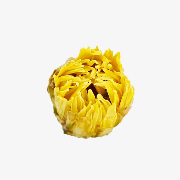 产品实物下火茶胎菊茶免抠