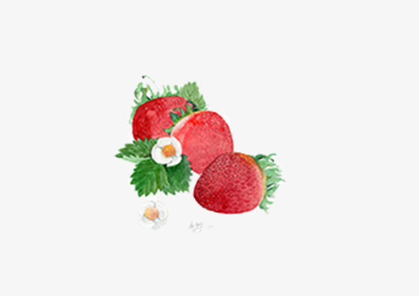 手绘草莓免抠