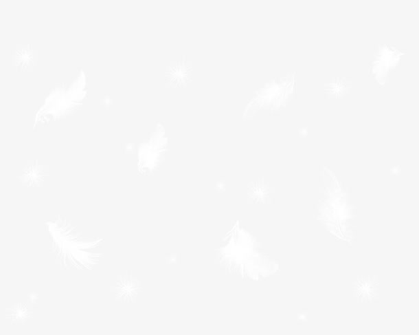 羽毛羽绒免抠标签元素