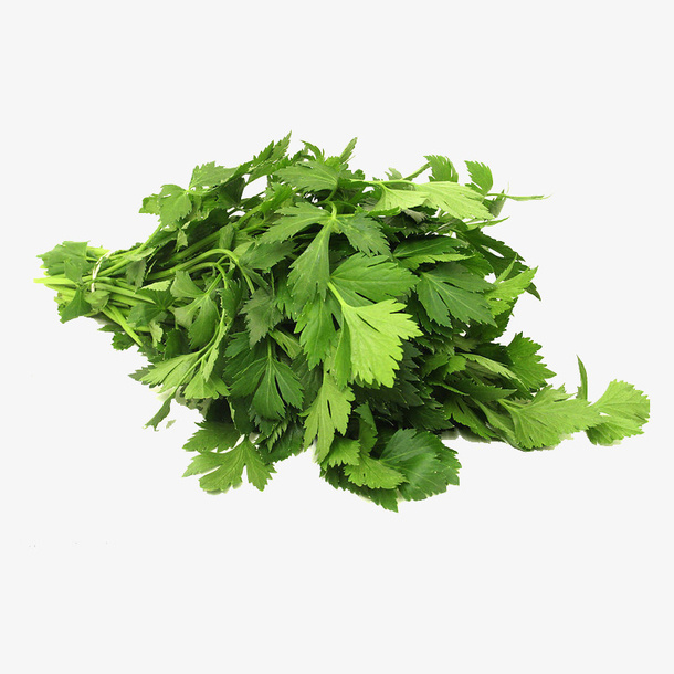 绿色芹菜叶子免抠