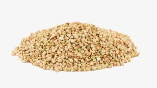 黄绿色的苦荞麦粮食免抠