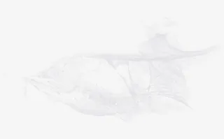 白色雾霾烟雾装饰免抠