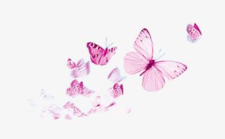 漫天飞舞的蝴蝶免抠动植物动物元素