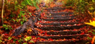 秋冬道路落叶海报banner高清