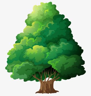 大树春天树木矢量24免抠