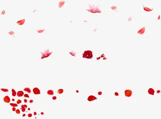 粉红花瓣免抠