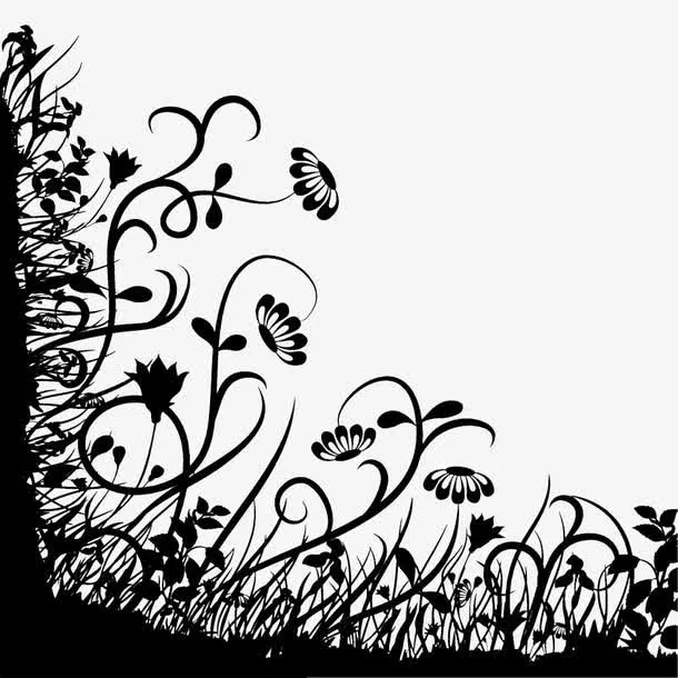 黑白植物边框免抠