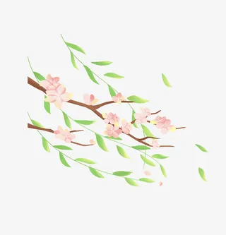 柳树枝上的花免抠