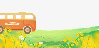 春天油菜花开背景