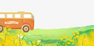 春天油菜花开背景