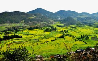 云南罗平牛街螺丝田风景高清摄影免抠