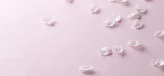 花瓣背景图高清