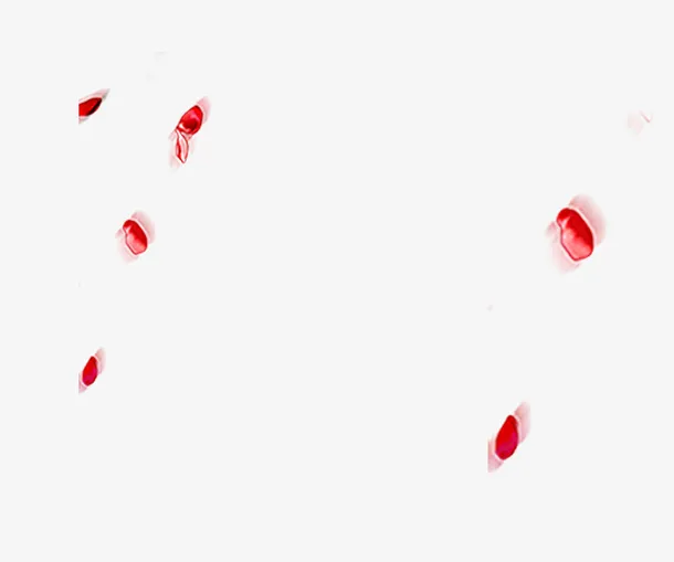 红花瓣漂浮免抠