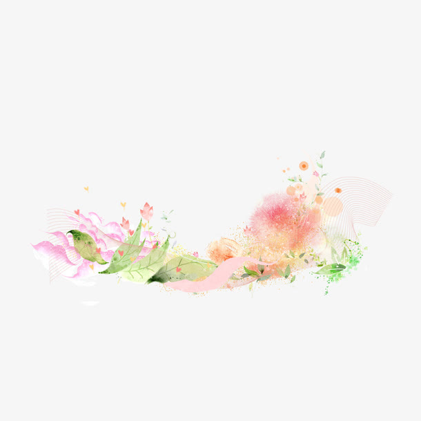花鸟免抠