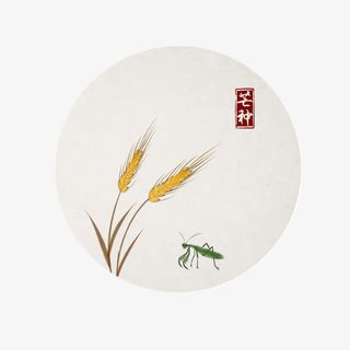 二十四节气芒种免抠