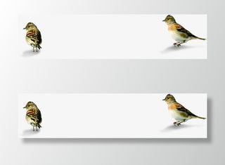 春天小鸟美景设计免抠装饰动物元素