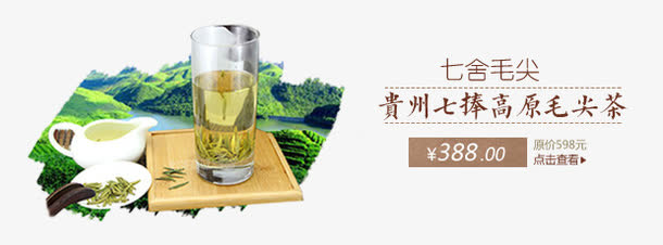 贵州七捧高原毛尖免抠