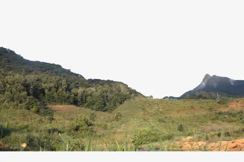 生机勃勃的小山坡免抠背景摄影风景元素 生机勃勃的小山坡免抠背景摄影风景元素