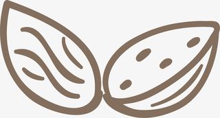 碧根果核桃免抠