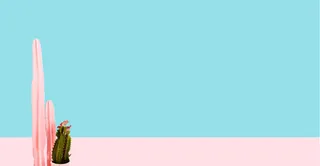 粉色卡通沙漠仙人掌海报背景免抠