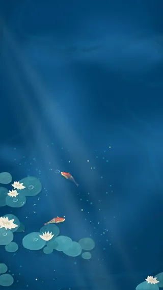 荷叶荷花小鱼节气高清