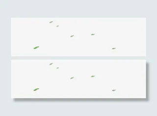 漂浮的绿叶免抠