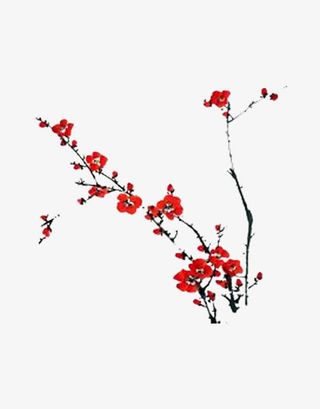 一枝梅花免抠