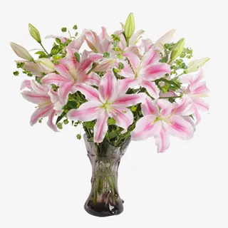 盛开百合桌花图片素材免抠