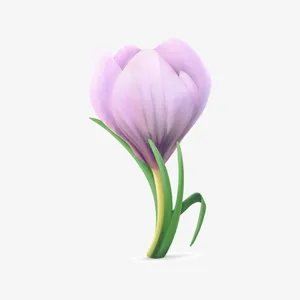 花朵免抠