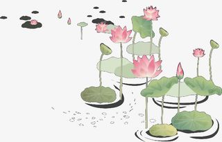 池塘的荷花···免抠