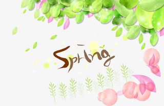 春天边框免抠漂浮叶子元素