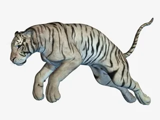 跳跃的老虎免抠