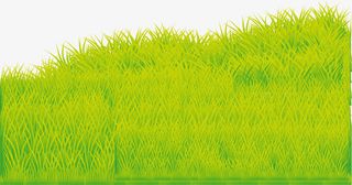 手绘绿色草地免抠