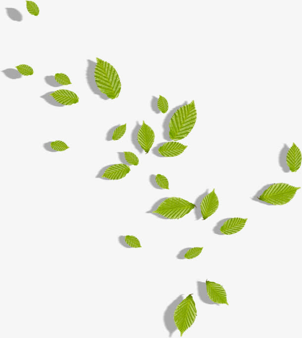 绿色漂浮树叶免抠漂浮叶子元素