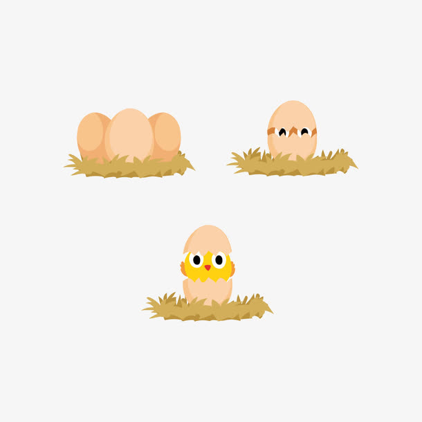 小鸡孵化简笔画免抠
