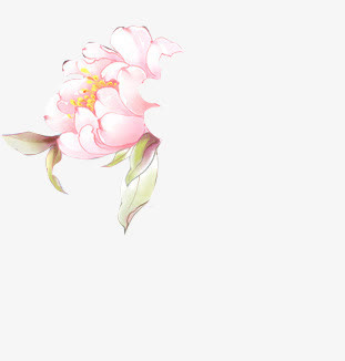 中国风 手绘花 png素材免抠