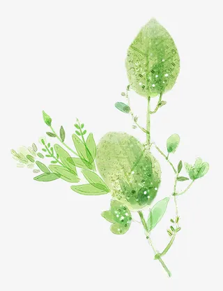 手绘植物枝叶装饰图案免抠