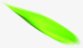 绿色清新美景树叶免抠