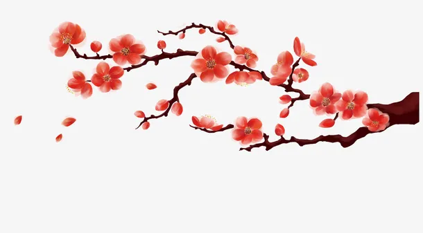 红色鲜艳梅花枝头免抠