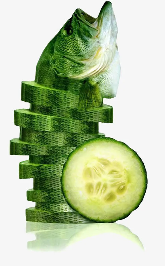 奇怪的蔬果生物免抠