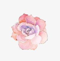 梦中花彼岸花效果设计免抠