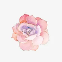 梦中花彼岸花效果设计免抠