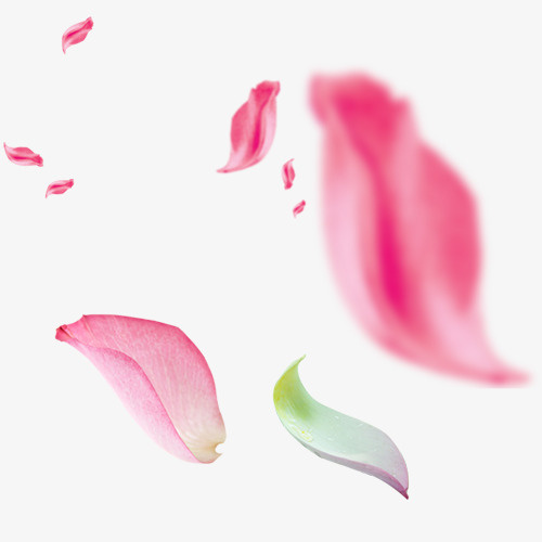 漂浮玫瑰花卉免抠