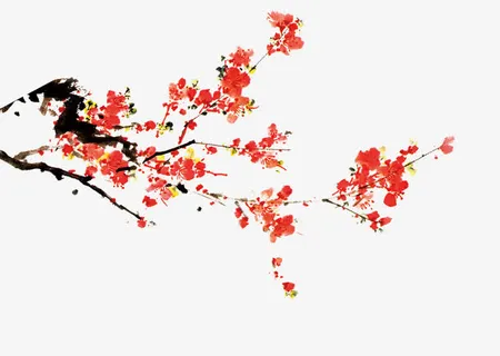 腊月梅花免抠
