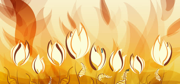 橙色手绘花卉背景banner