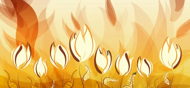 橙色手绘花卉背景banner